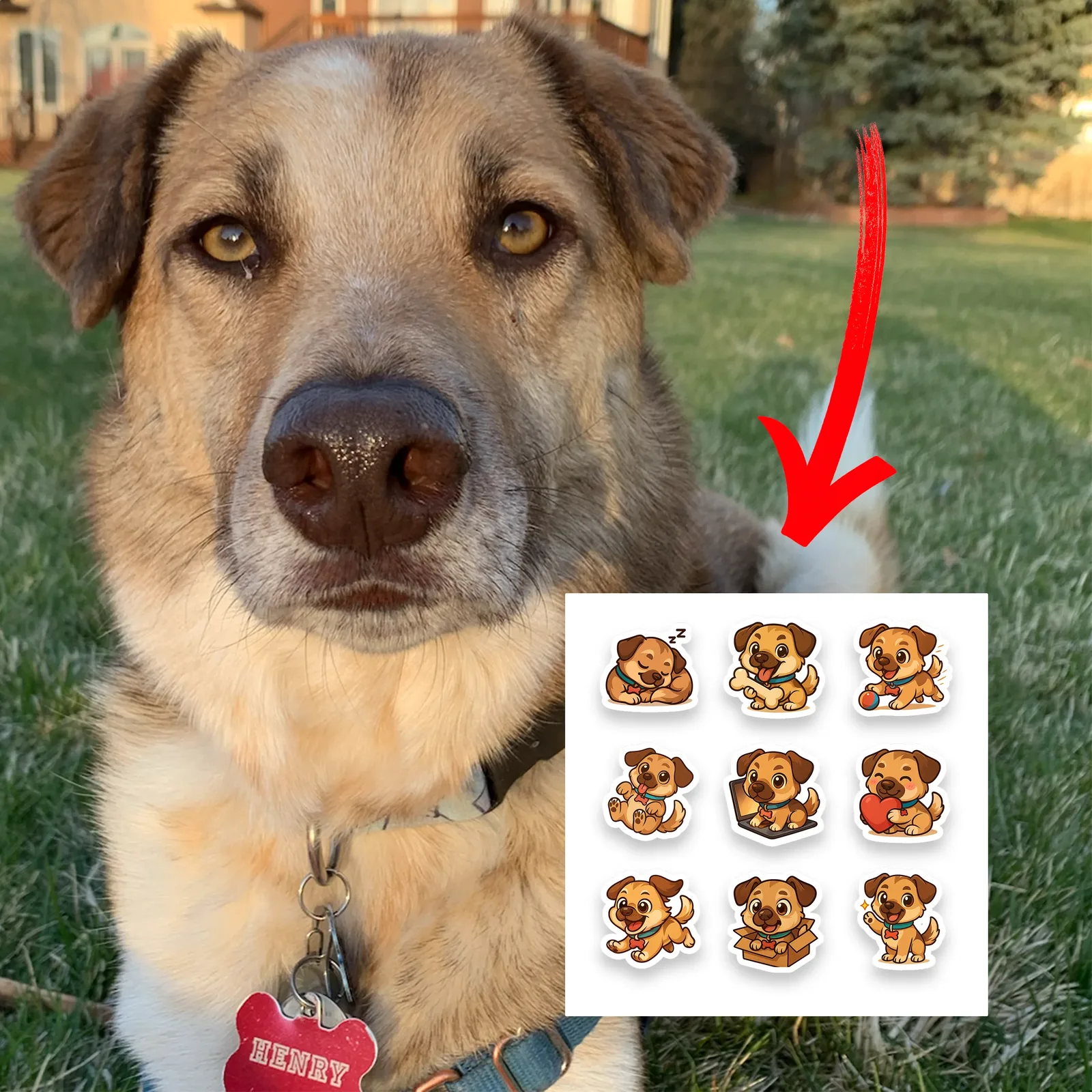 Dog stickers example