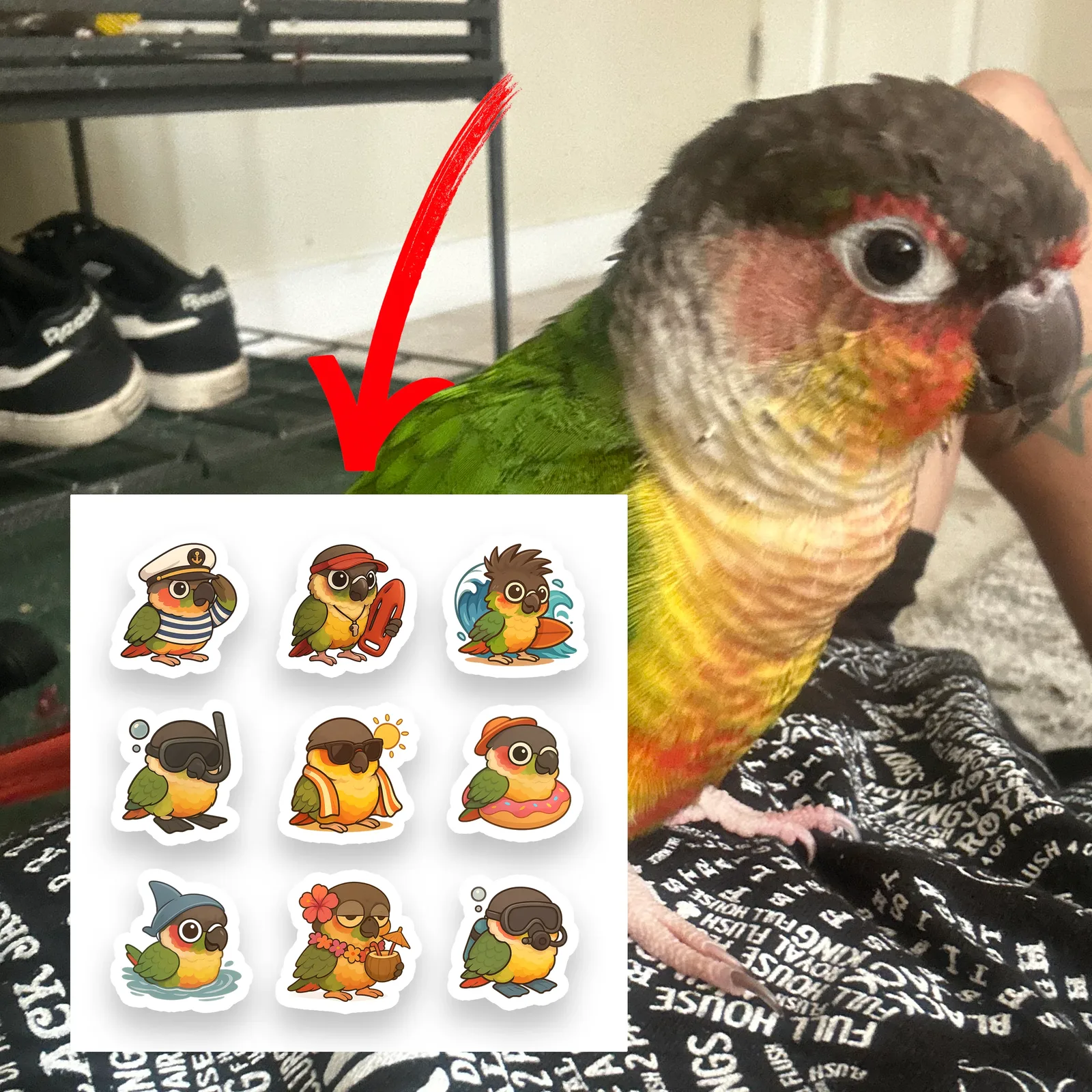Parrot stickers example