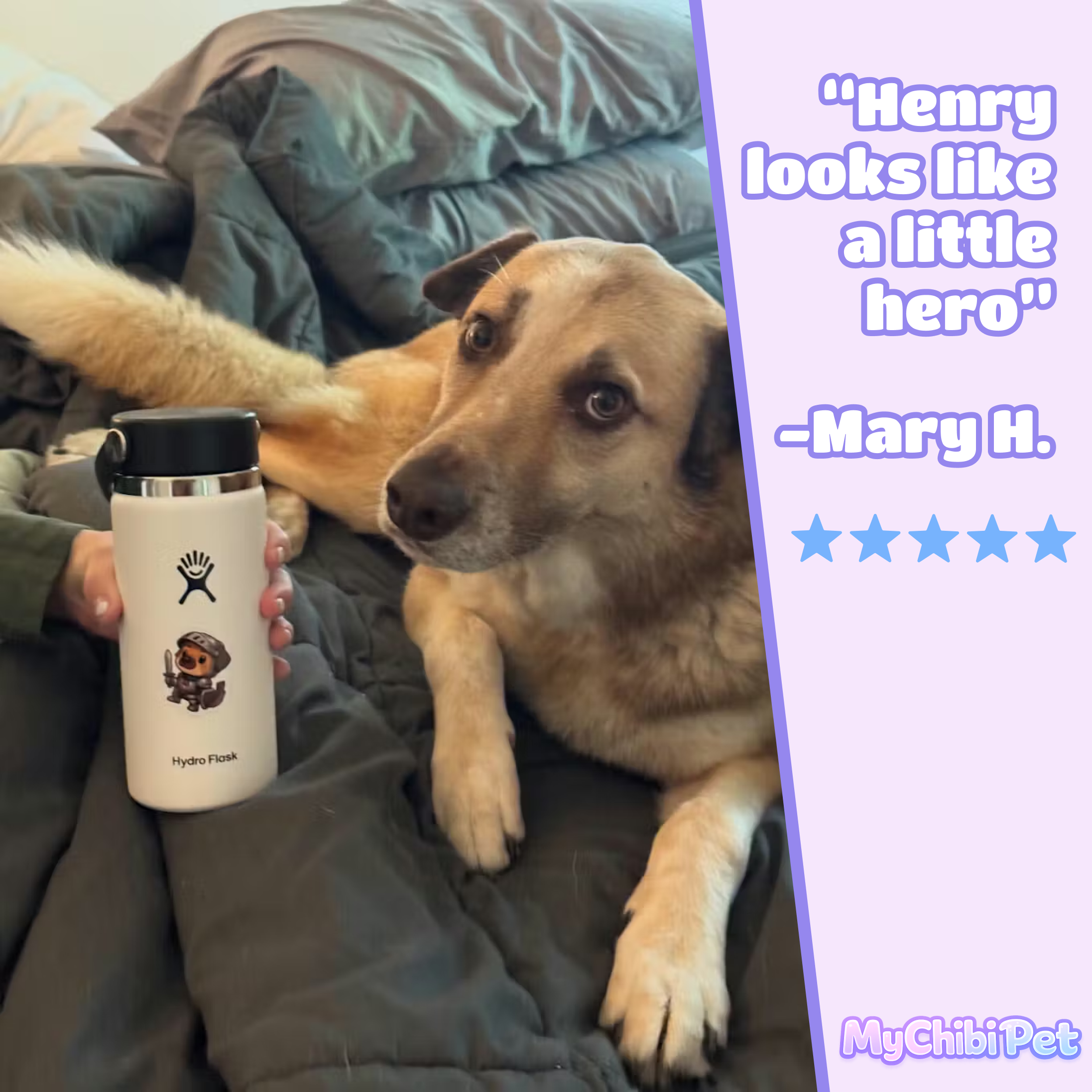 Customer photo of Henry beside a bottle featuring a custom pet sticker