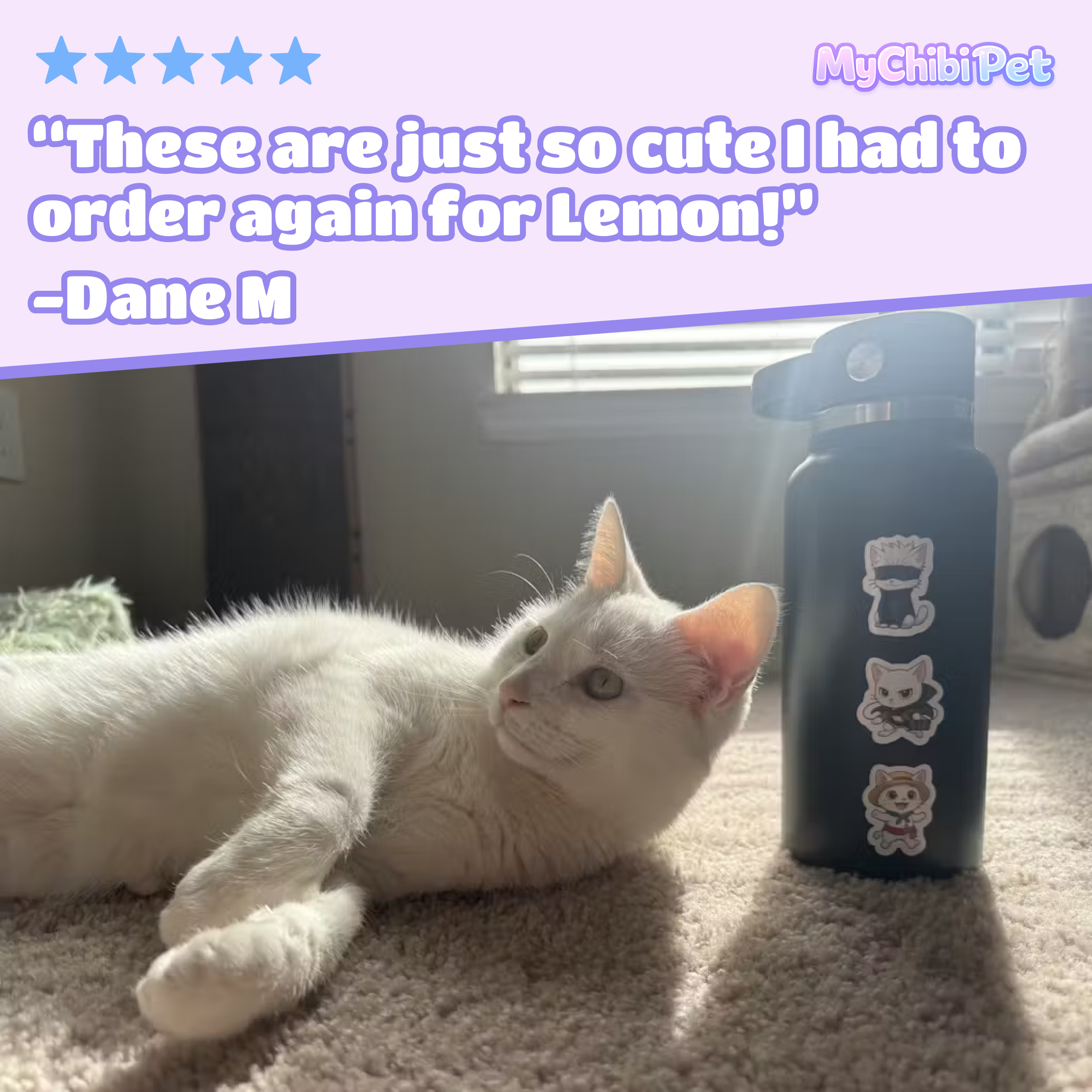 Customer photo of Lemon beside a water bottle with custom pet stickers
