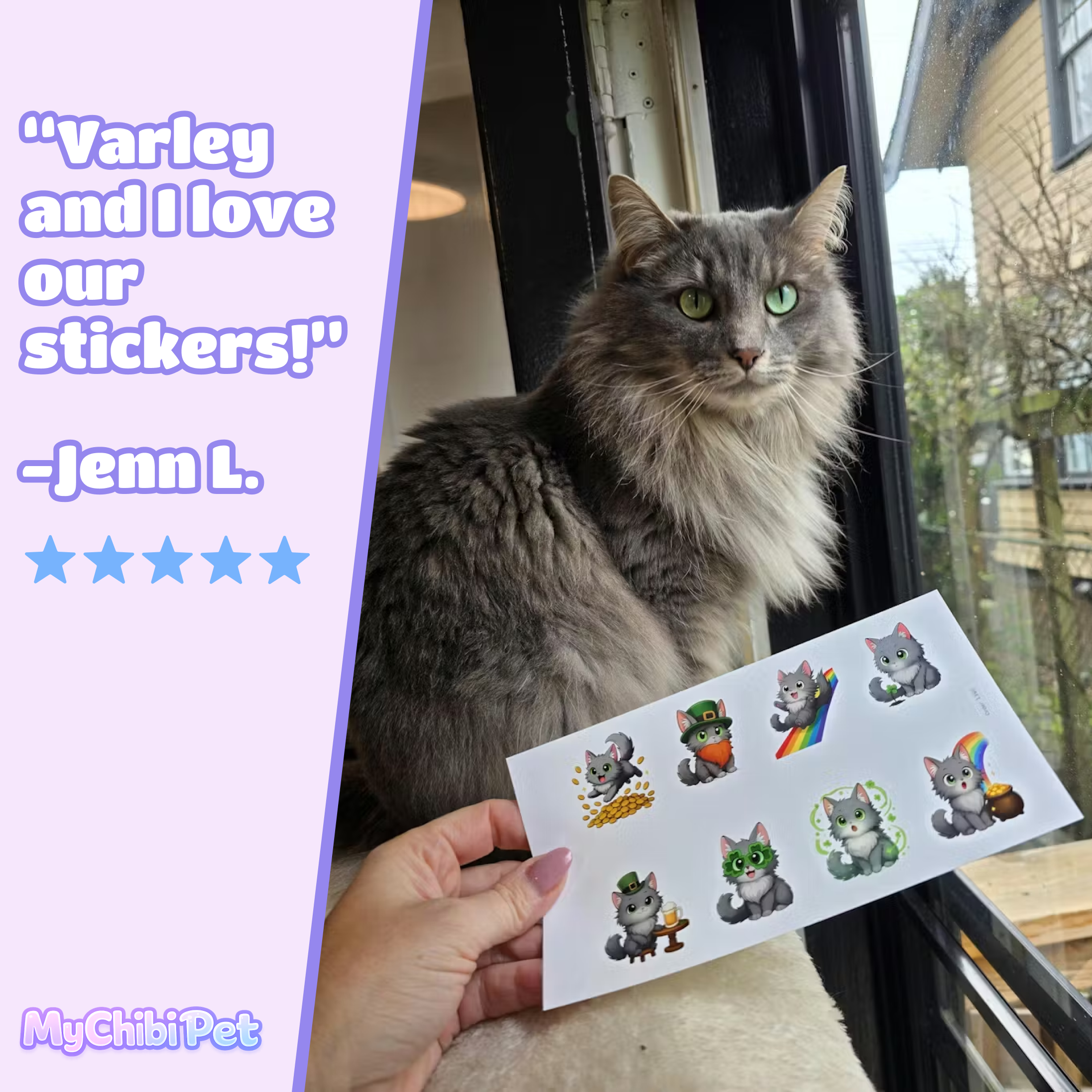 Customer photo of Varley next to a custom sticker sheet