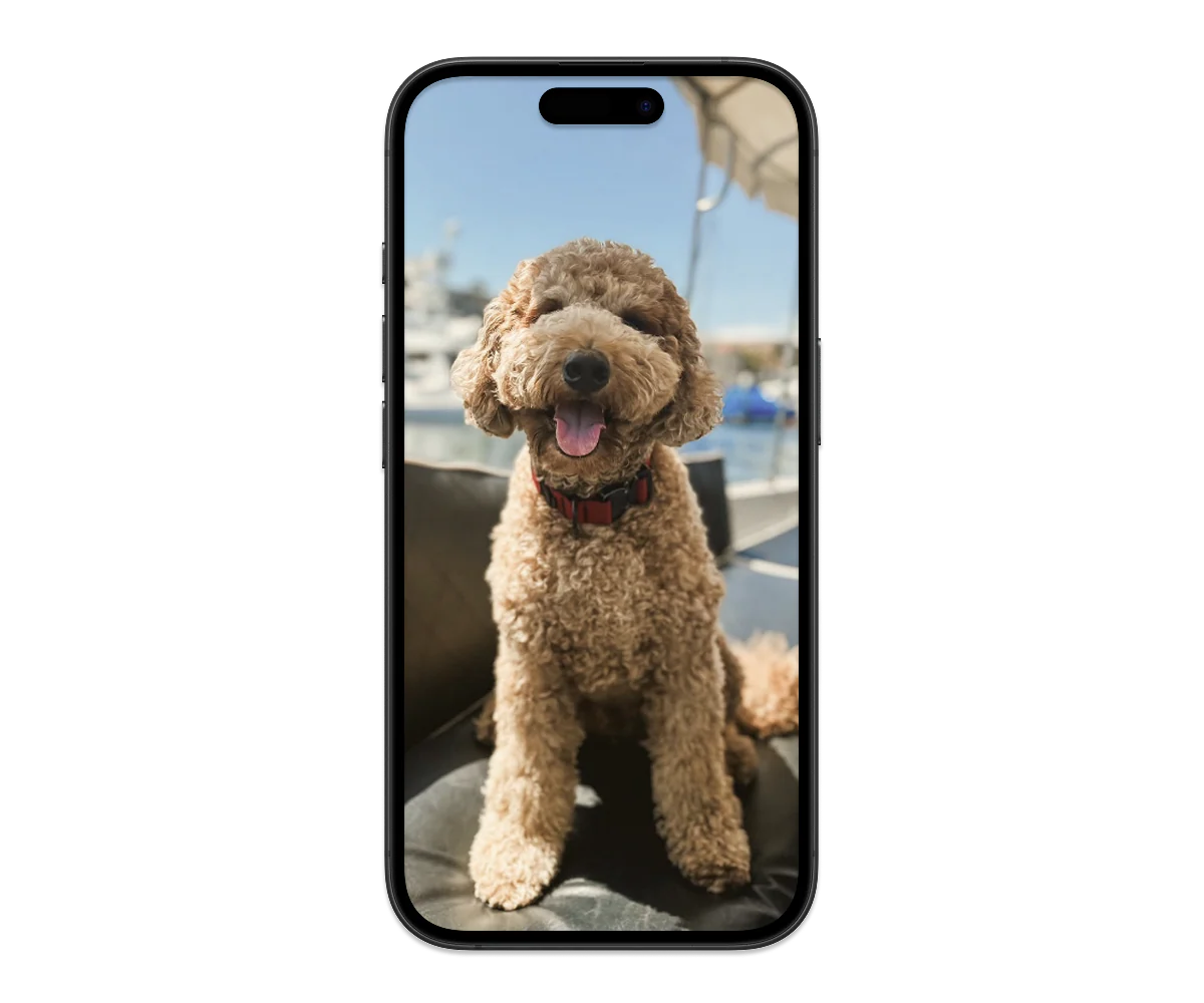 Upload your pet photo