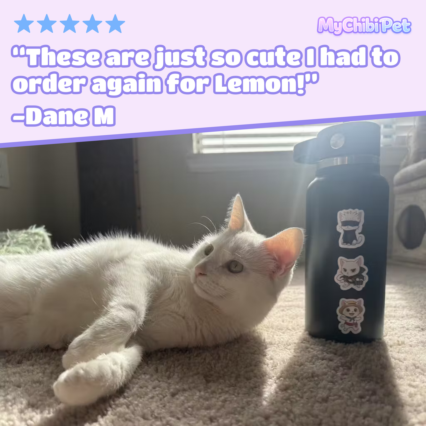 Monthly Pet Stickers - From Your Photo